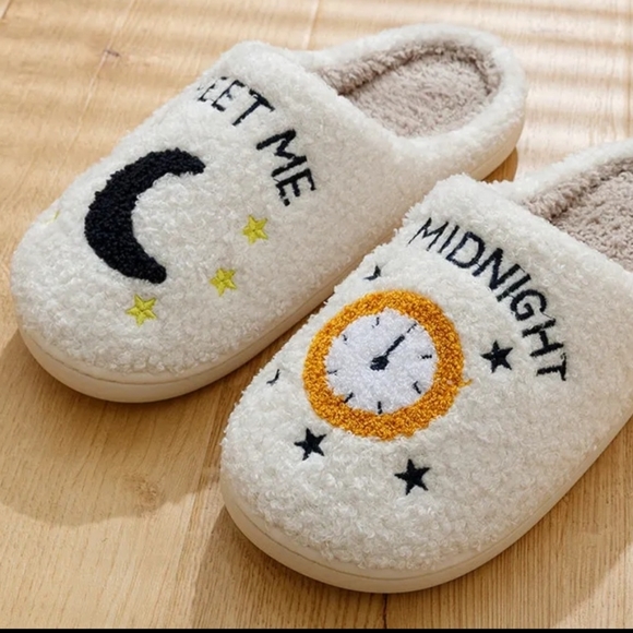 Taylor Swift Shoes - NWT Taylor Swift Inspired Slippers